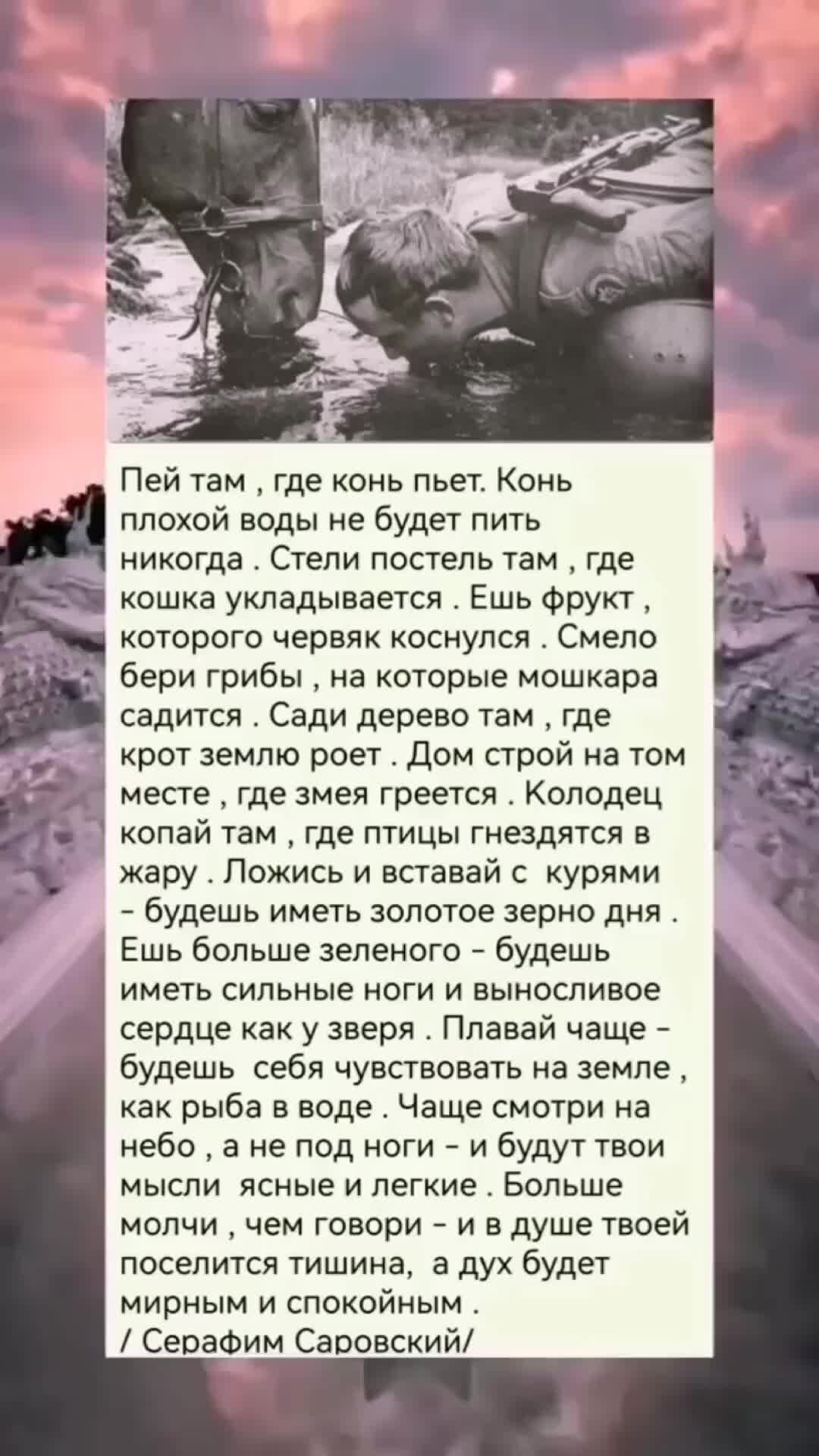 где конь. пей где конь пьет. пей там где конь пьет. пить воду где конь пьет. пить там где конь пьет.