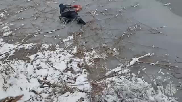 Люди фоткают на фестивале. Картинка гражданин девушка. Прохожие люди на улице. Красивые прохожие. Прохожим оказалась.