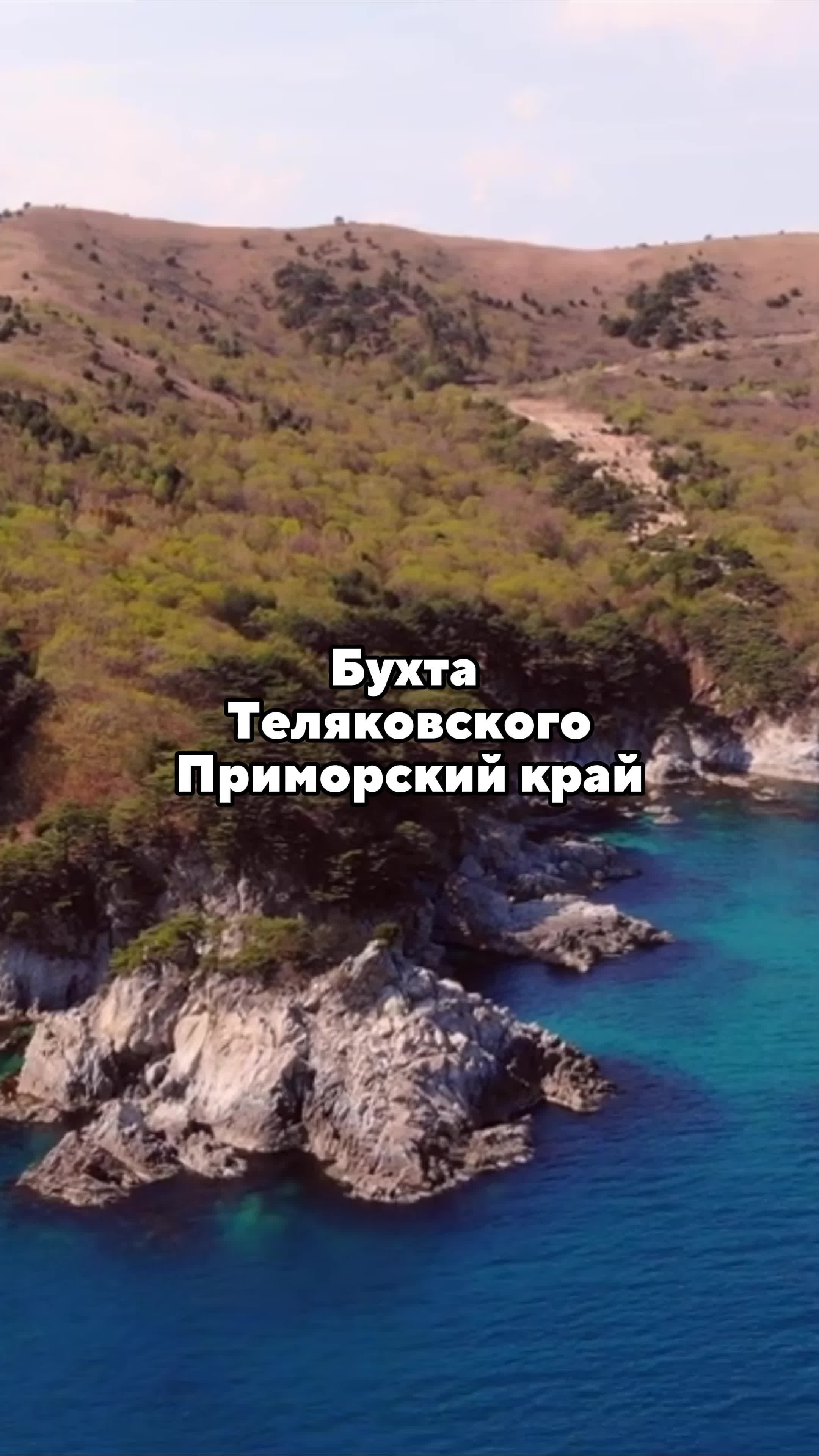 Аритмическая форма инфаркта миокарда симптомы. Перебои в работе сердца при инфаркте миокарда. Обои на рабочий стол человеческое сердце. Замирание сердца 6. У человек остановилост сердце.