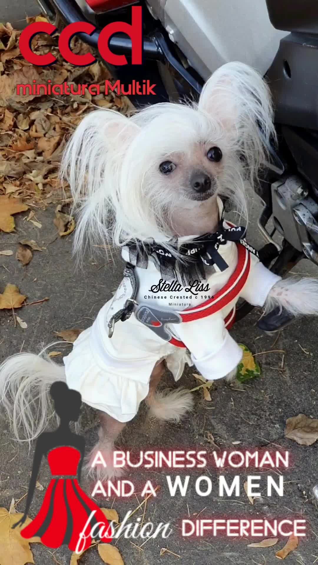 Песня какой походкой. Спортивная девушка бежит. Счастливая девушка. Песня какой походкой. Майкл джексон лунная походка.