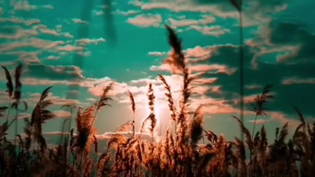 Песня про любовь под гитару слова. Песня дорогая прости меня. Простите меня стихотворение. Прощай родная. Прости меня дорогая.