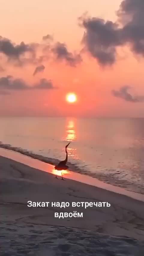 Закат. Надо закат. Надо закат. Красивый закат. Красивый закат.