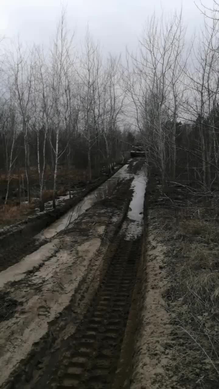 День ее нерадостный давно прошел