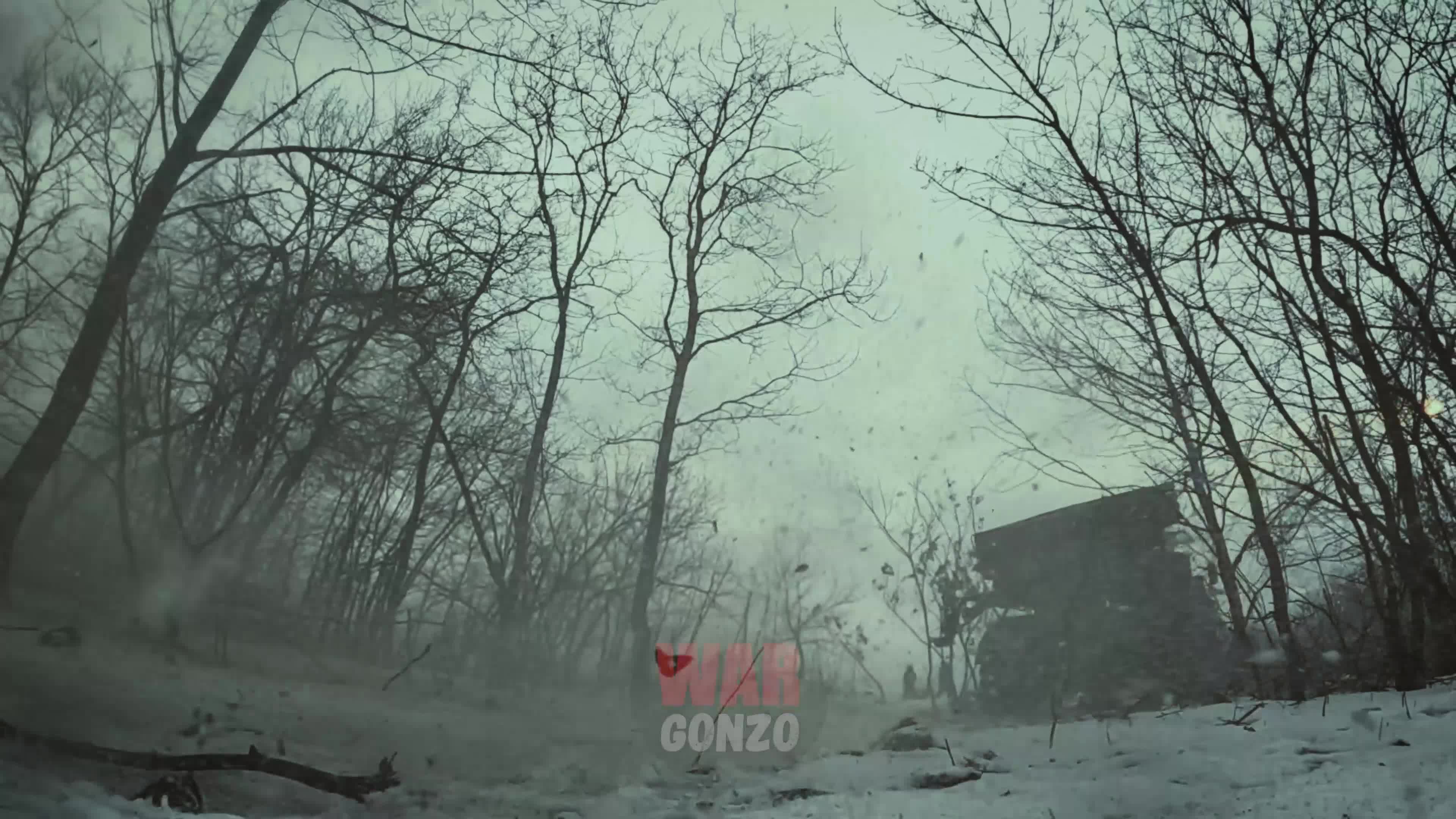 Нельзя отнести ни к. Грибы относятся к растениям. Псевдопроекты. Престиж характеристика. Нельзя отнести ни к.