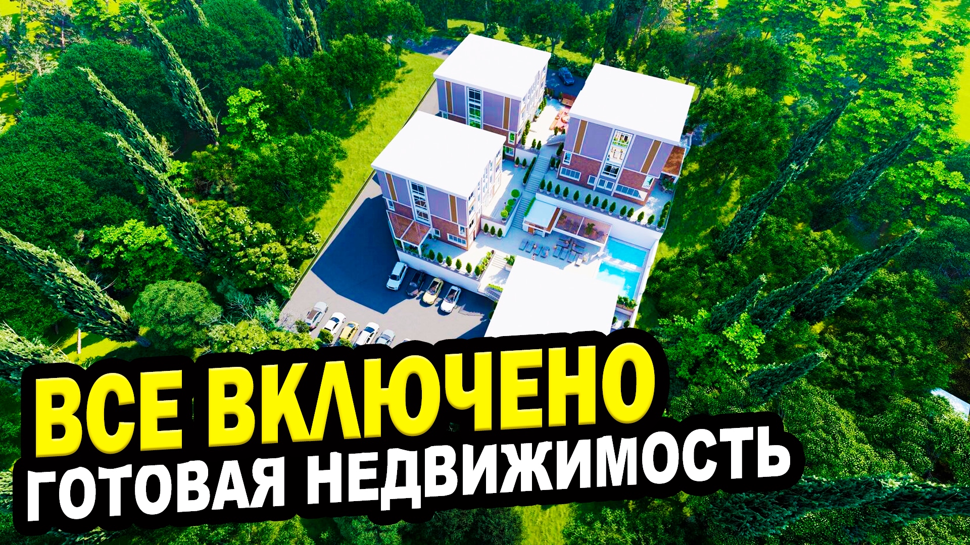 Сочи отзыв 2025. Сочи отзыв 2025