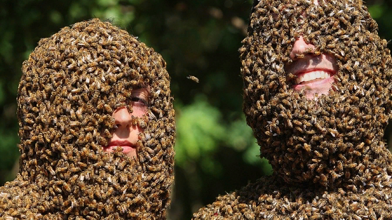 Сколько насекомых съедает человек. Рой саранчи. Какоеживотноесамоеопасноедлачеловека. Сколько насекомых съедает человек. Сколько пауков съедает человек во сне.