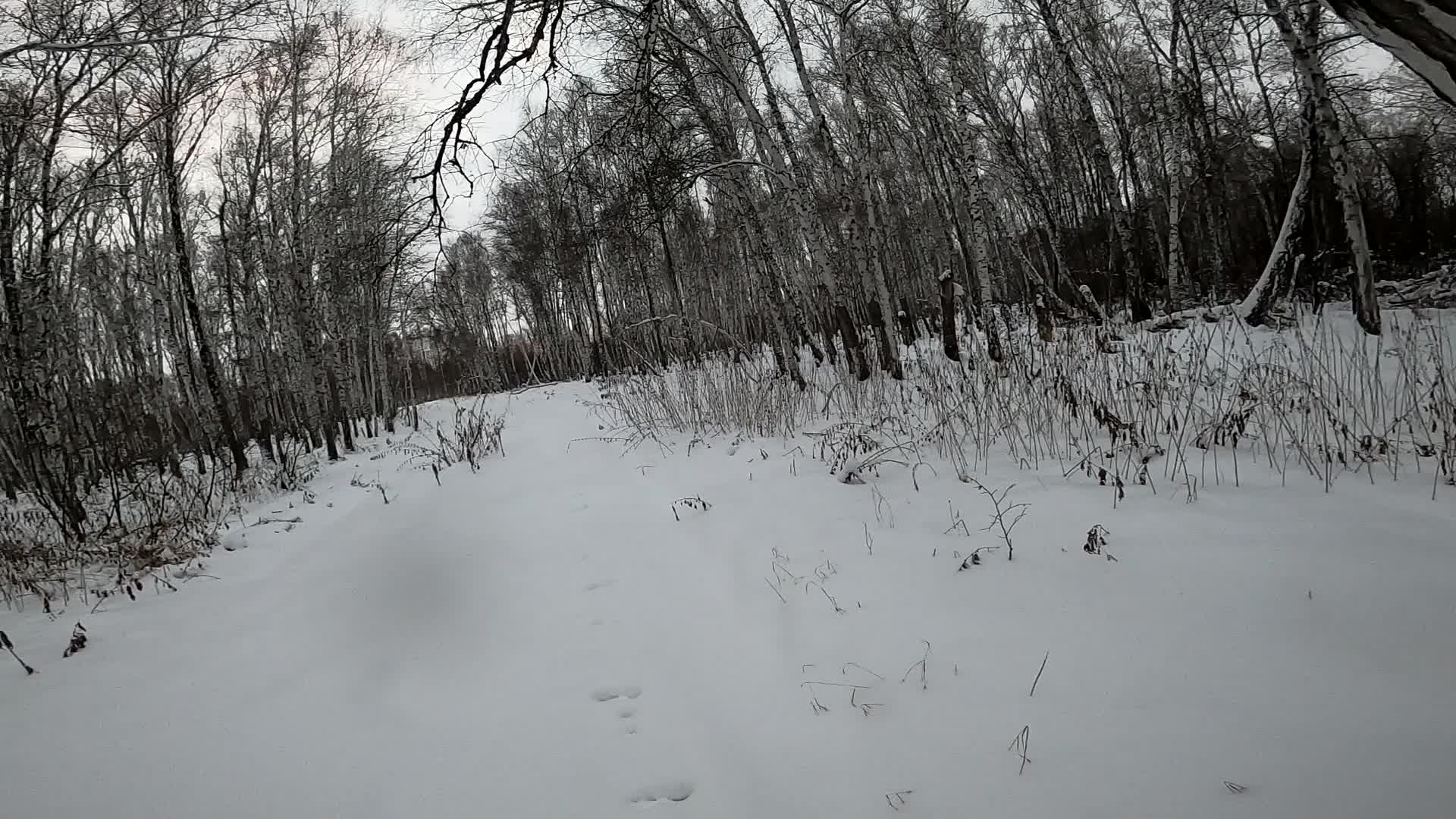 Охота тетерку на осенней охоте в кемеровской области. Утиная охота в омской области 2020. Охота омск. Омск охотник. Охота и рыбалка в омской области.