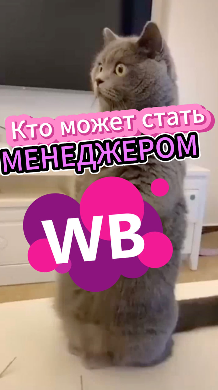 Стать поставщиком. Wildberries работа. Вайлдберриз. Курсы wildberries. Курсы по вайлдберриз.