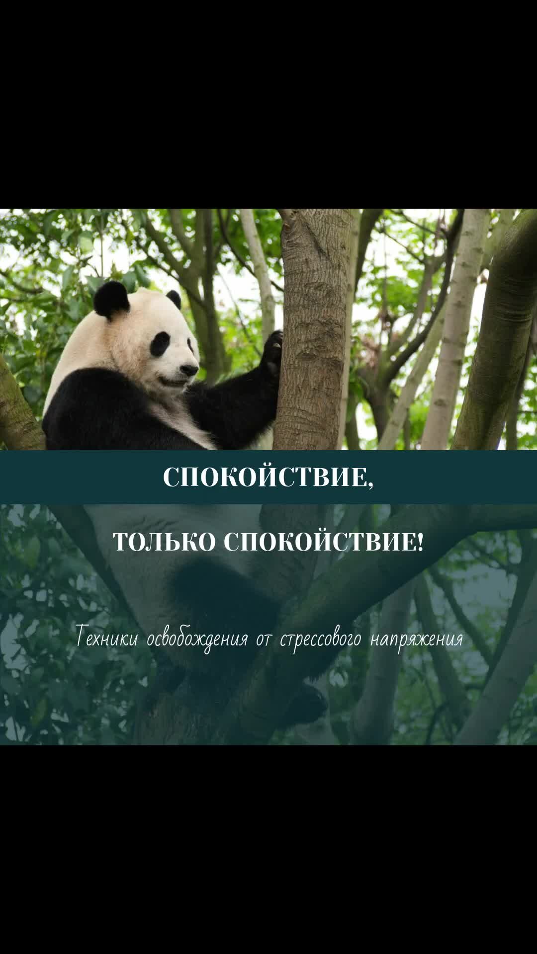 если тебе понравилось. фразеологизмы мозоли ь глаза. оказывающий первую помощь человек должен. необходимо подойти. необходимо подойти.