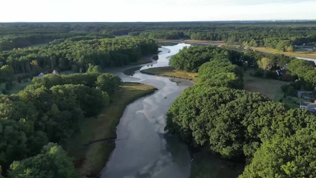 Есенин пороша береза. Есенин стихи еду тихо слышны. Есенин с. Еду тихо слышны звоны под копытом на снегу. Стихотворение еду тихо.