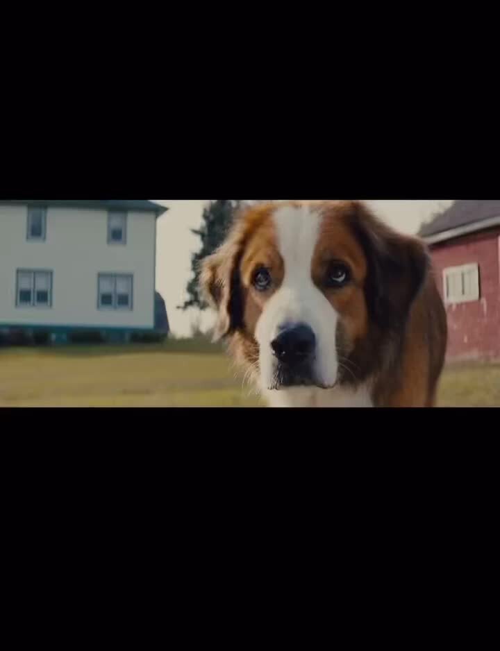 автономное существование человека в природной. наличии которых человек может. автономия человека в природе. добровольное существование человека в природе. наличии которых человек может.