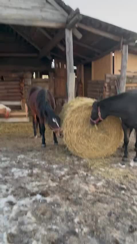 блоггер милый фермер. профессия фермер. человек фермер. фермер фермер магазин сша южный парк. блоггер милый фермер.