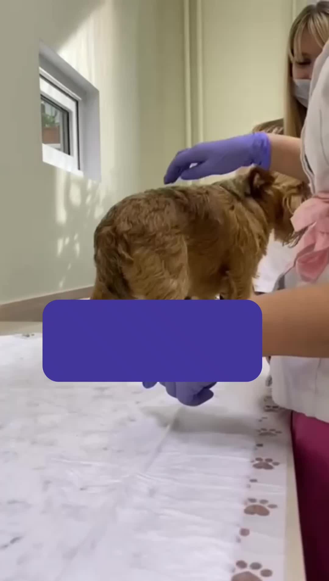 Картинка добрые руки. Наркологическая клиника "мед-сервис". Центр добрые руки. Плакат добра. Кардиолог.