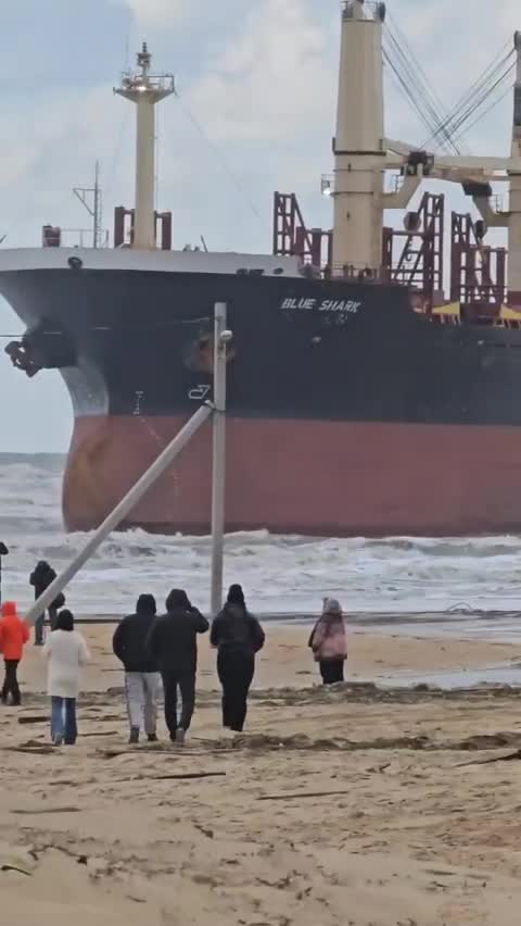 сухогруз голубая акула в витязево. сухогруз голубая акула в витязево. сухогруз голубая акула в витязево. сухогруз голубая акула в витязево. сухогруз голубая акула в витязево.