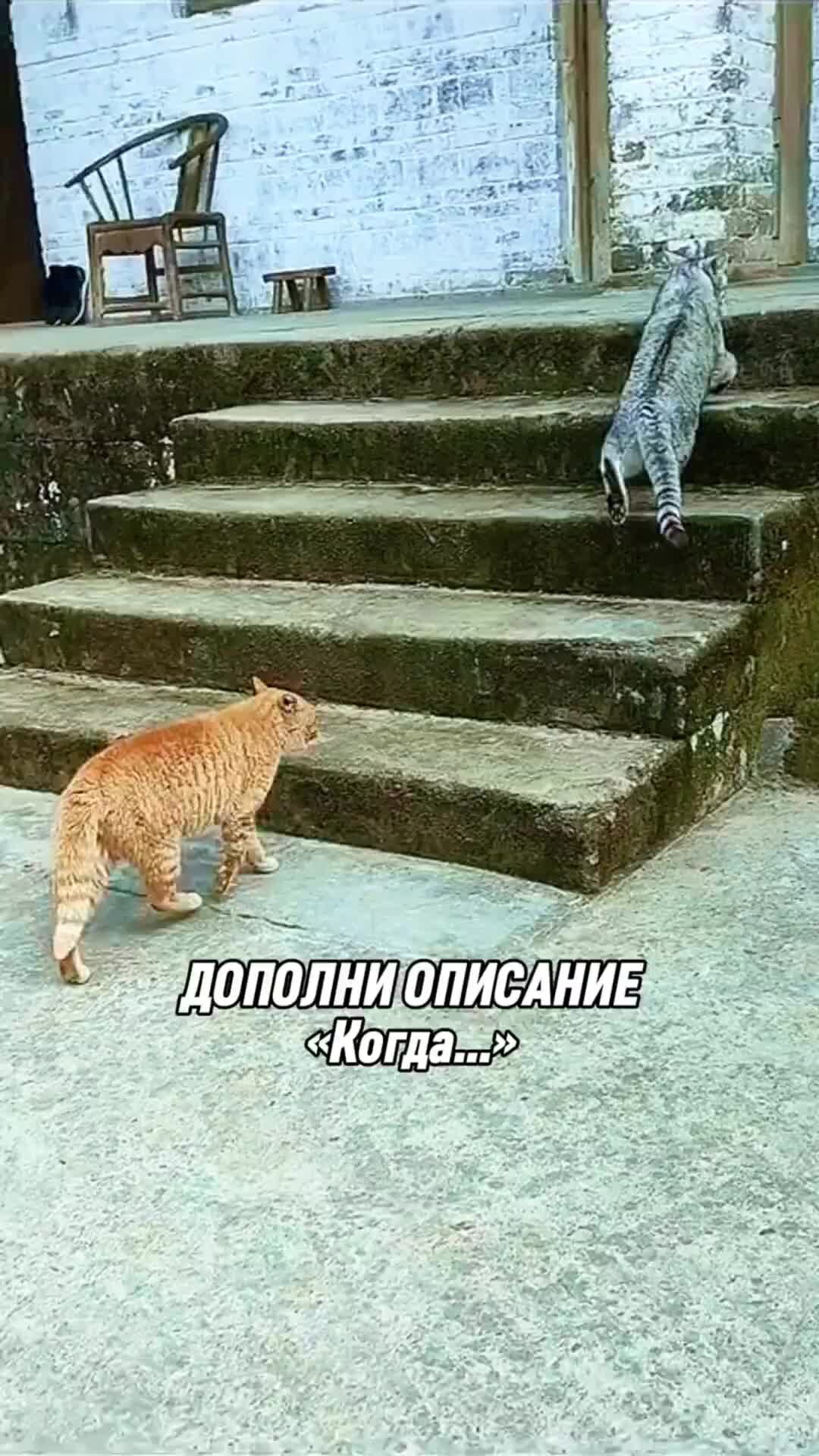 Начал приставать