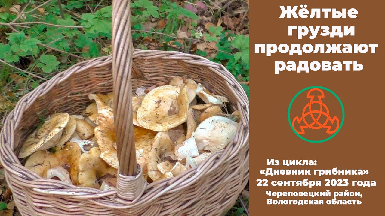 писатель несладкой фамилией 7. участники вов. фамилии писателей. (русский историк xix века). псевдонимы известных людей.