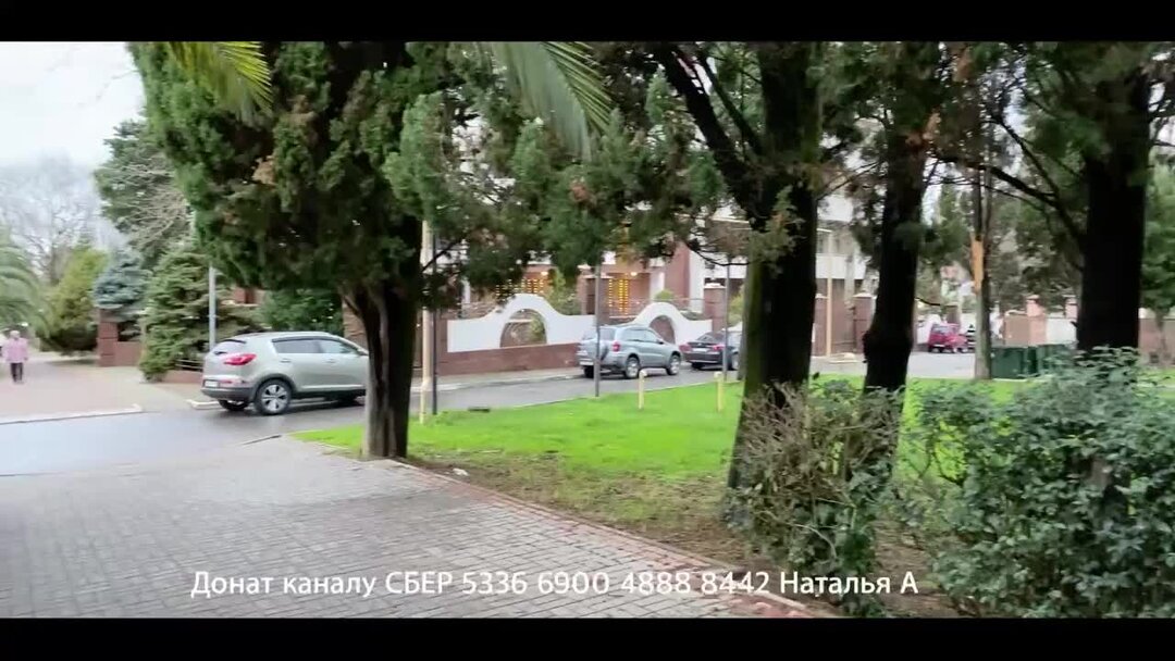 зима какая. снег в сочи 2022. снег в сочи дендрарий. похолодание в сочи. предгорная зона сочи.