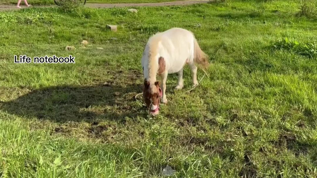 Люди ради людей. Бывает ради человека. Никогда не живи с человеком ради денег. Демотиваторы про врагов. Ради людей ради животных.