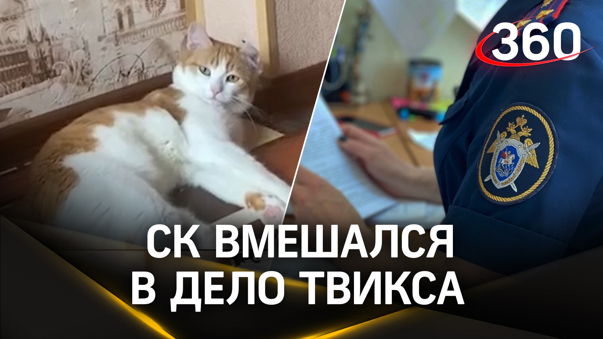 Психологический тест по типу лица. Факт остается/фактом смешные. Тест на форму лица. Сахарное лицо. Достань свои глаза и взгляни в лицо фактам.