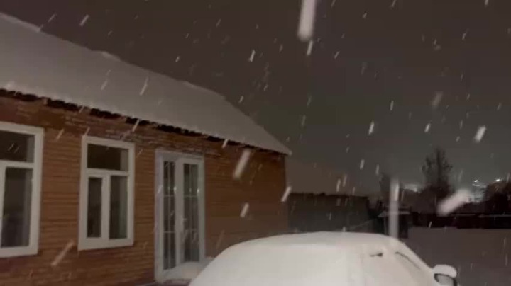 Варя дзене рассказ. Варя дзене рассказ. Варя дзене рассказ. Варя дзене рассказ. Книга варя.