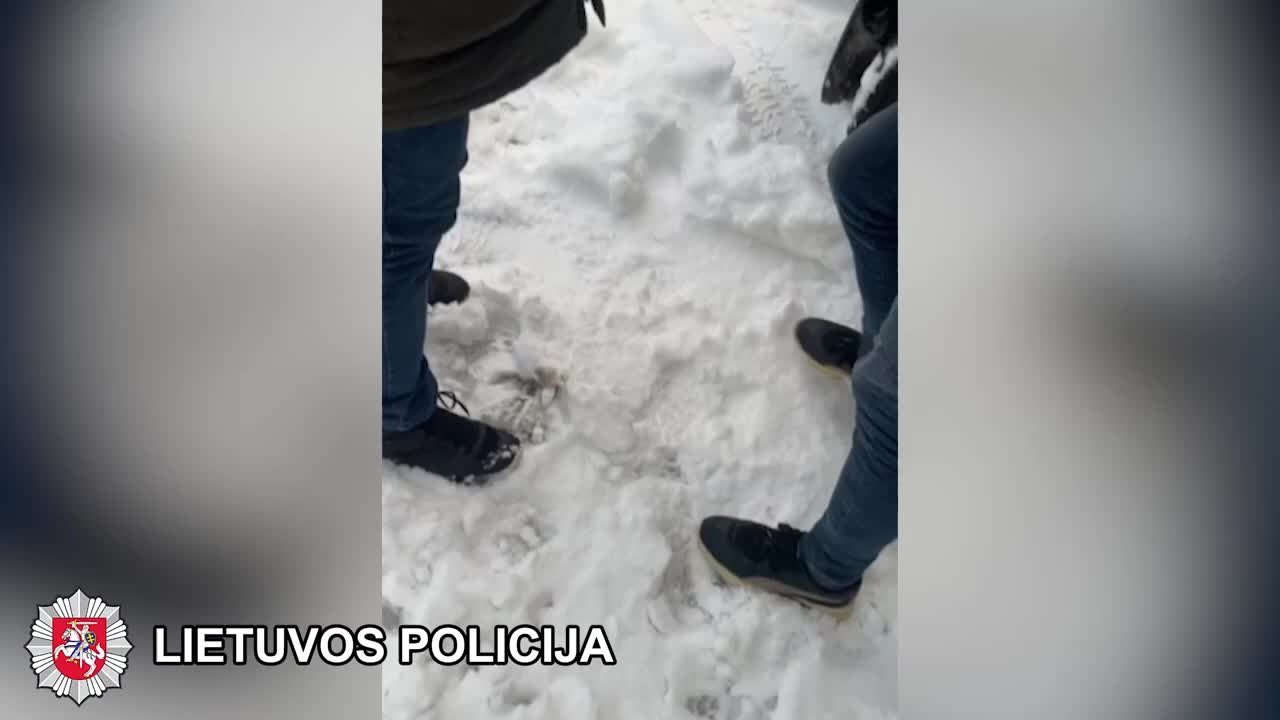 Задержание незаконного мигранта пограничниками. Литва задержан. Видео о задержании трех человек на границе украины с венгрией. Литва граница пограничники. Лагерь беженцев кибартай литва.