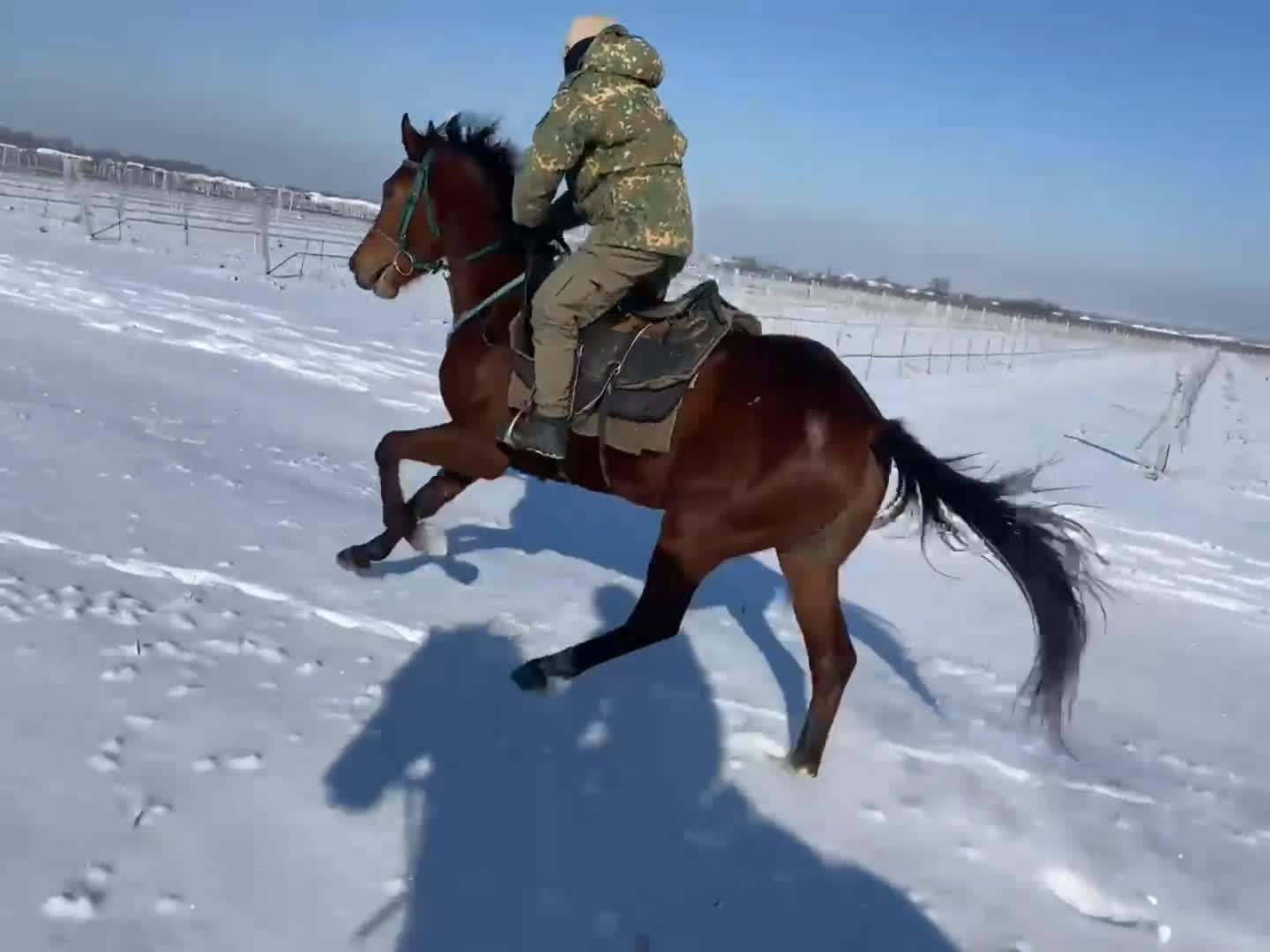 Тренироваться на английском