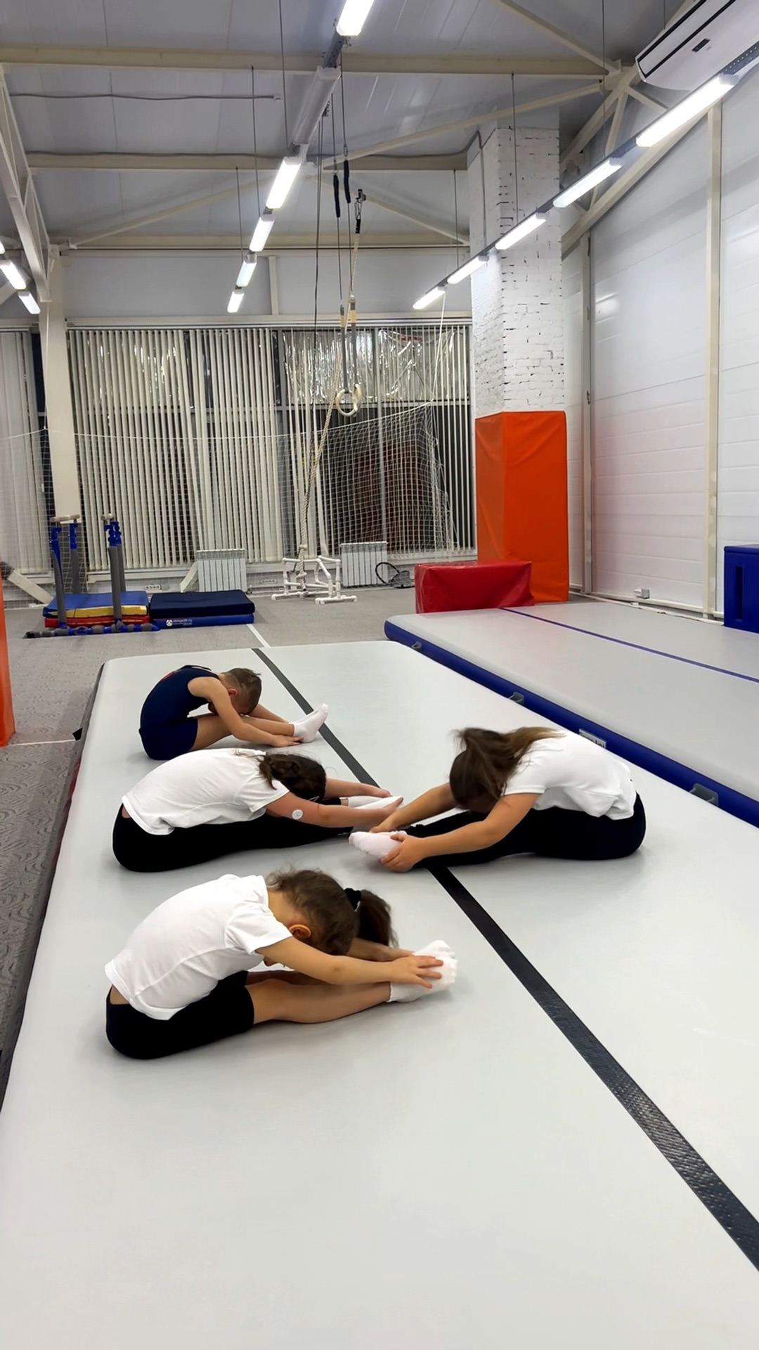 Спортивная гимнастика набор