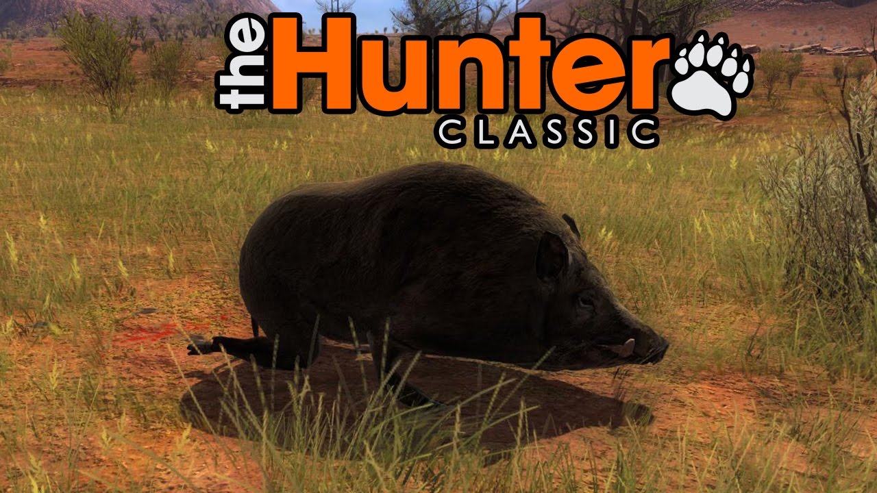 The hunter classic. The Hunter Classic стрим. The Hunter Classic самое дорогое животное. The Hunter Classic сетка: немецкая #4.