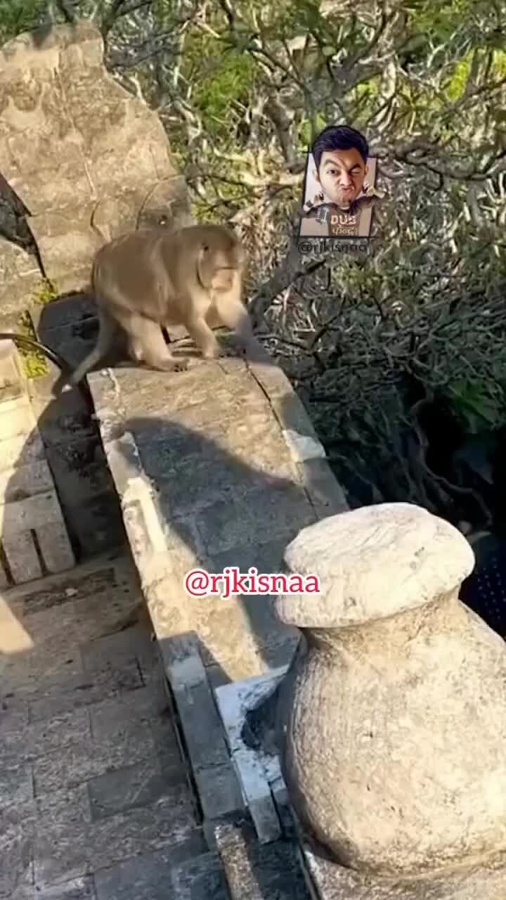 график выплаты пенсий. ежемесячная выплата на ребенка от 8 до 17 лет 2022 год. график выдачи пенсий в мае. новые пособия. график выдачи пенсии в праздничные дни.