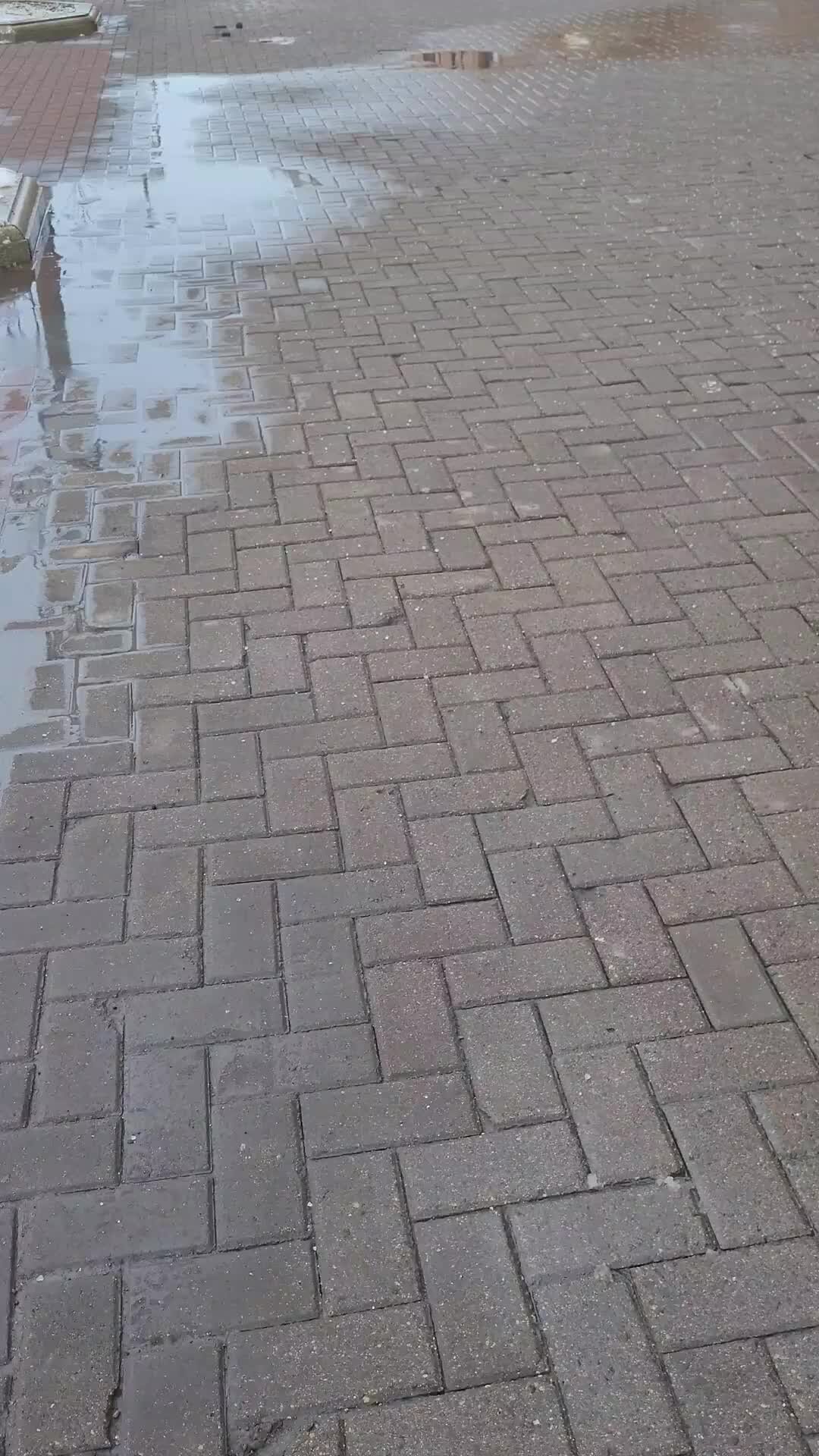 независимости, 11, корп. пр-т независимости, 3-2. минск проспект независимости 11 корп 1. просп. пр независимости 2.