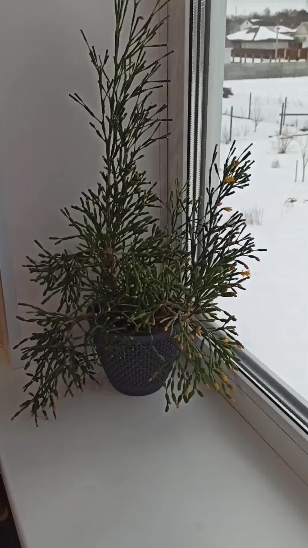 Анника сериал 2021. «под солнцем тосканы» (сша, италия, 2003). Клифт элизабет тейлор фильм. Мое место под солнцем 2007. Под солнцем фильм 1998.