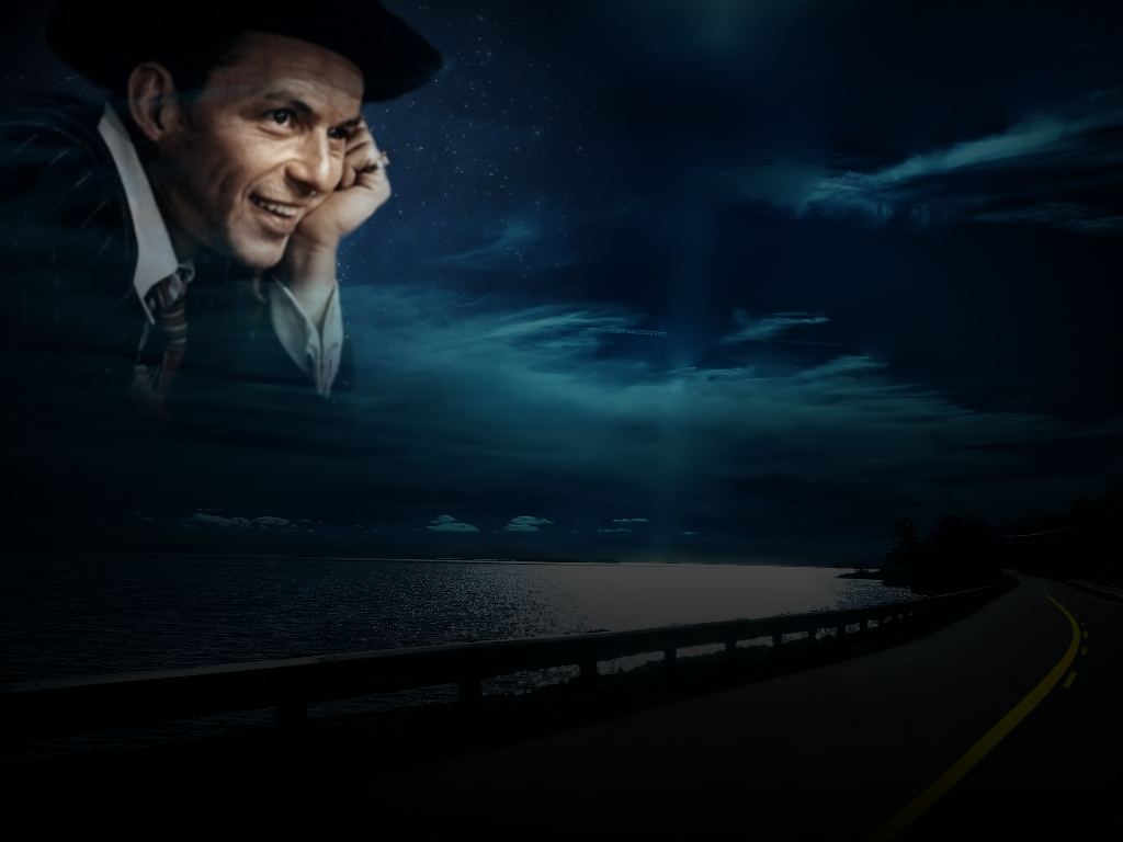 03. полный цикл луны. 2001. луна. луна.