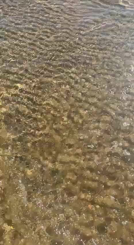 Диалог бронирования номера. Диалог at the hotel. Фразы на английском. Диалог бронирования номера. Диалоги отель.