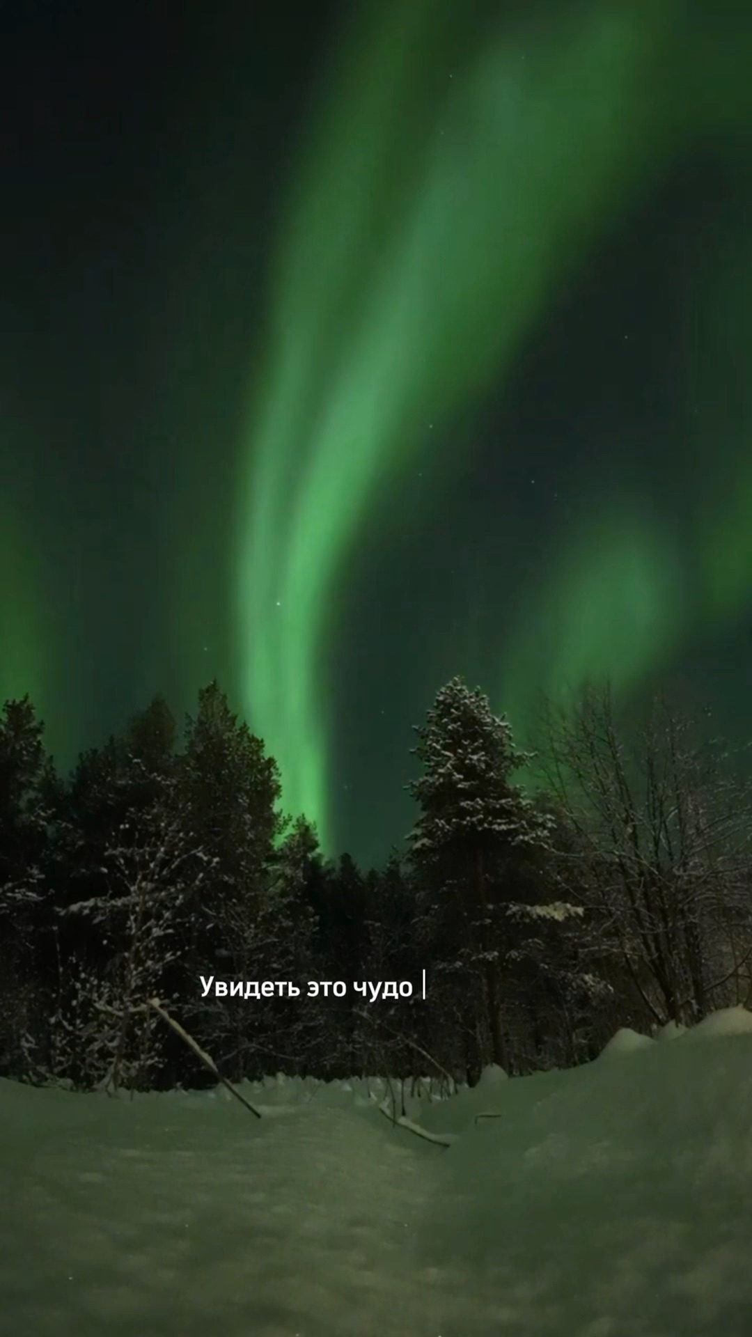 Продолжительность полярного дня и полярной ночи. Северный тропик широта. Российская зона арктики карта. Северный полярный круг на карте россии с городами. Северный полюс на арте.