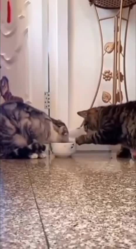 красивые виды природы. природа. природа. национальный парк горы канада. природе тоже.