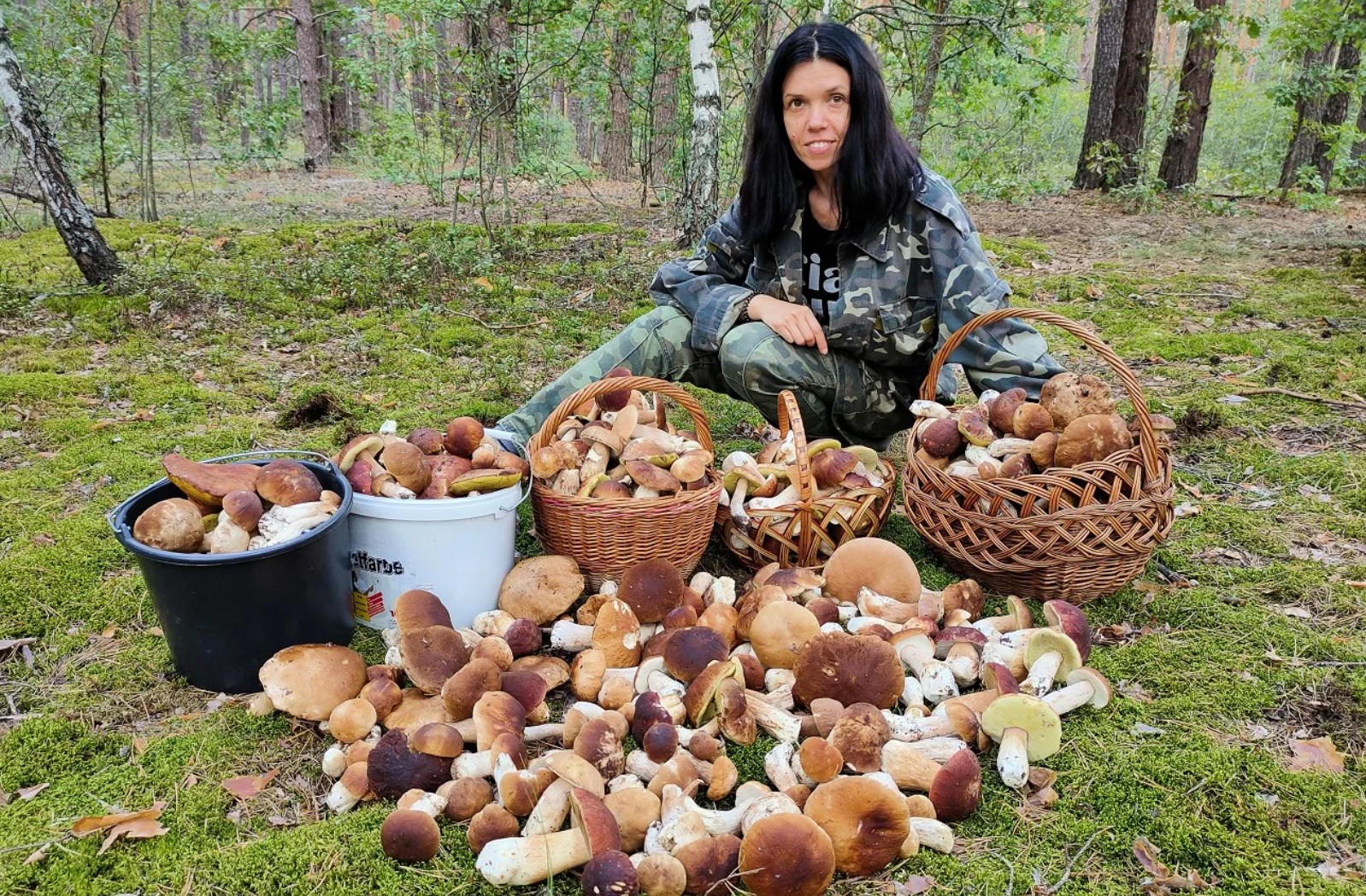 Грибные места