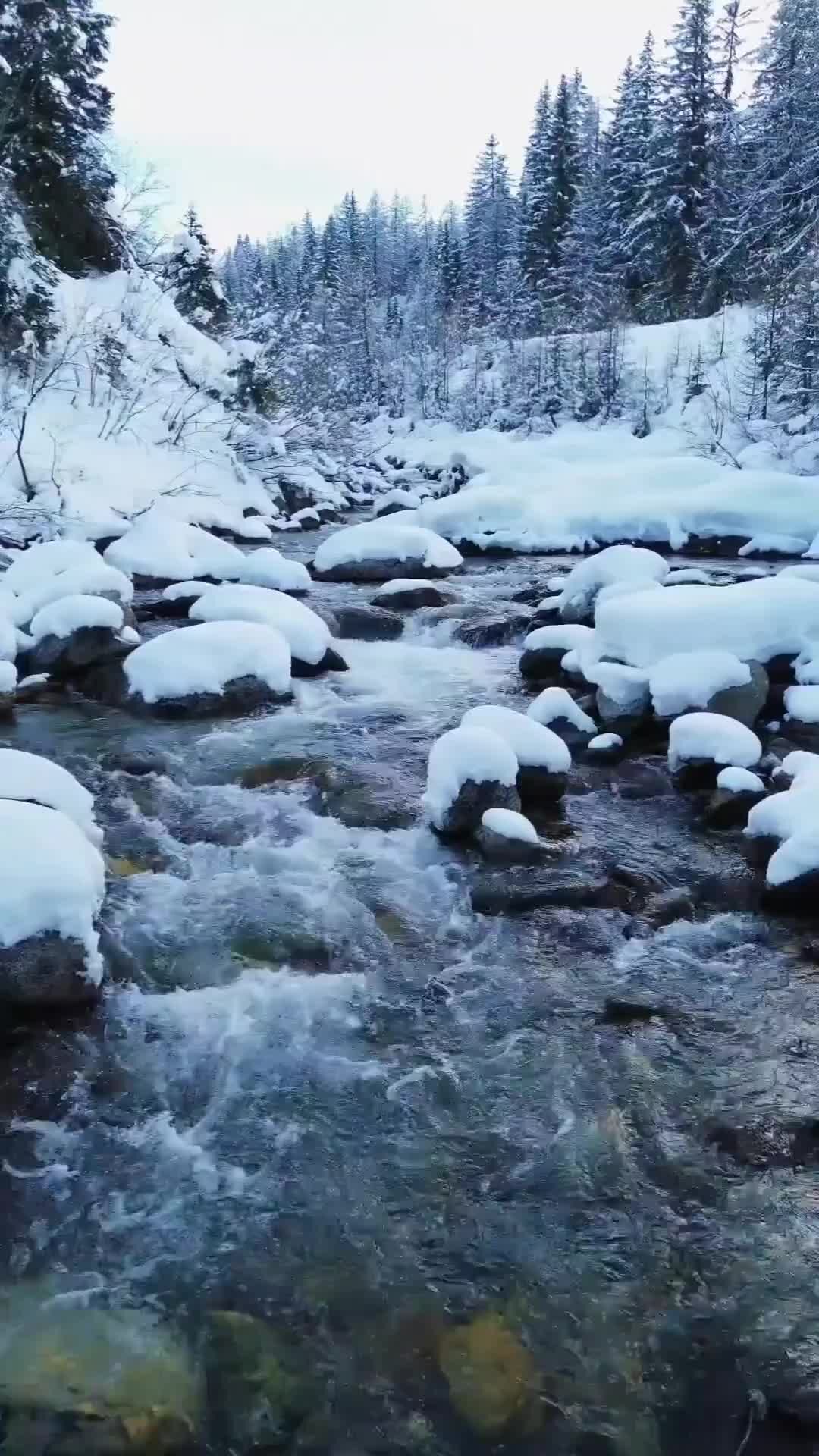 Зимняя река