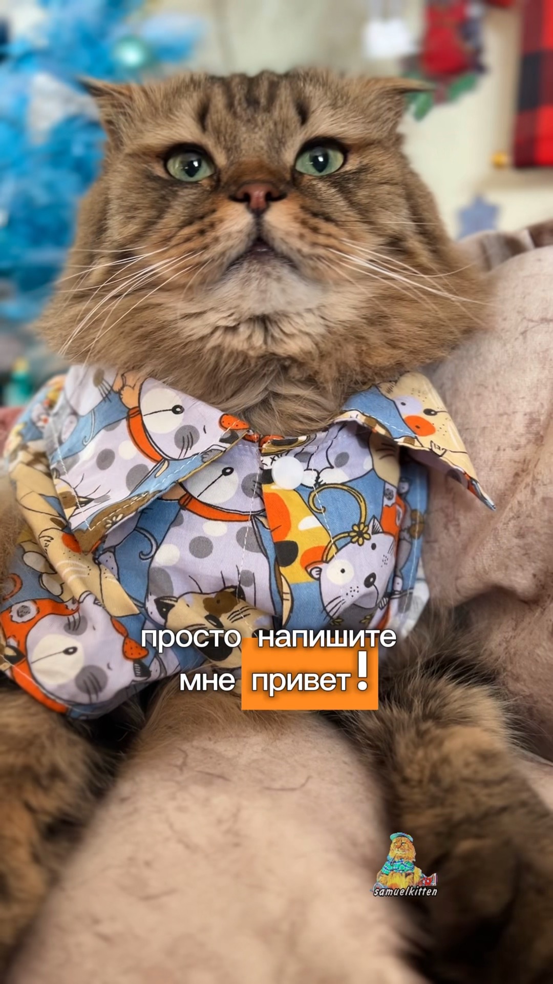 Методологические рекомендации по составлению проекта. Советы по преодолению стресса. Методические рекомендации по. Бербеля и хайнца швальбе. Советы логопеда.