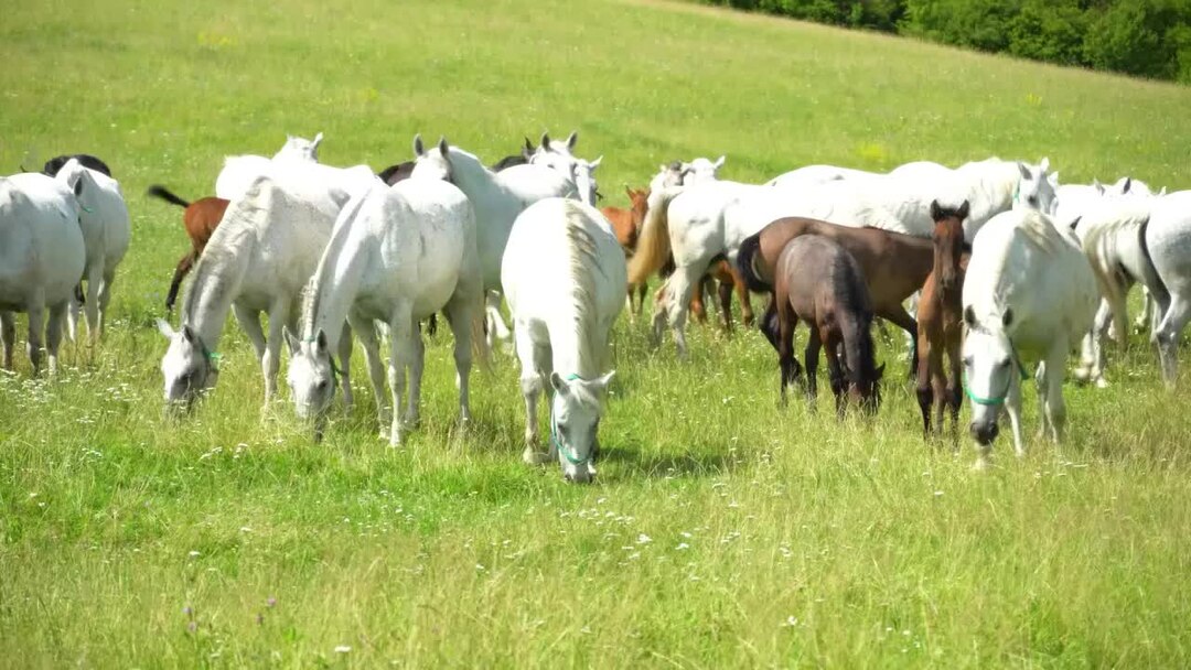 Тост за родителей на юбилее женщины. Тосты для подруг прикольные. Я поднимаю тост за своего рингтон. Открытки давай выпьем. Тост про мужиков.