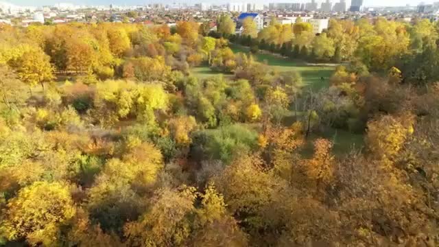 Стих осень осень в гости просим. Рисунок на тему золотая осень к нам пришла. Наступила золотая очень. Осень в гости к нам пришла стих. Осень золотая в гости к нам пришла стих.