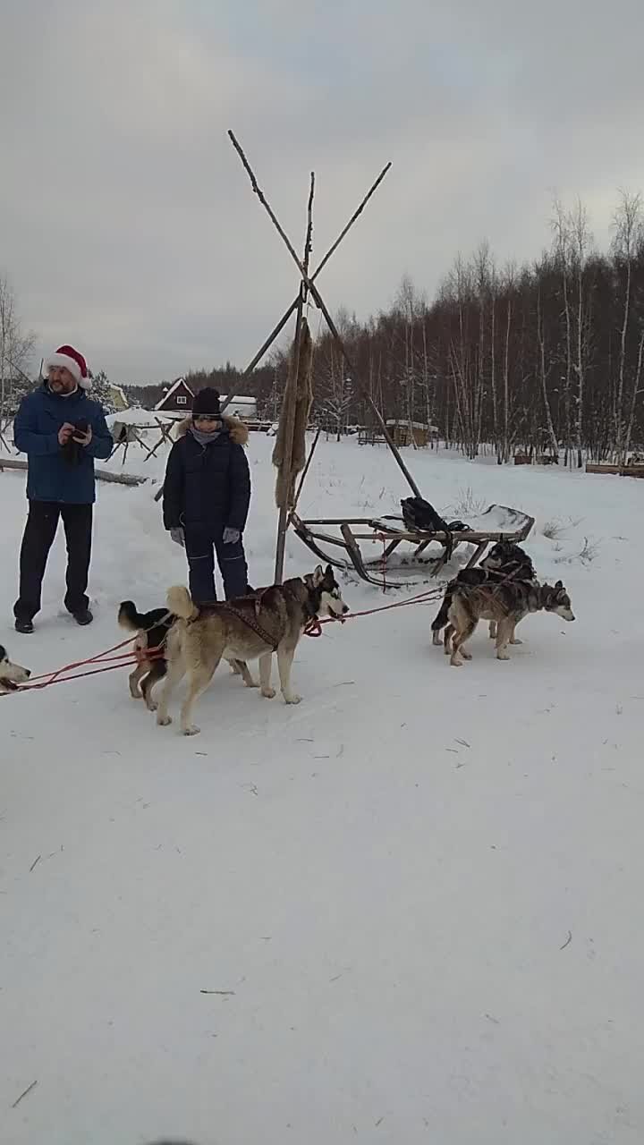 Песня увезу тебя я в тундру