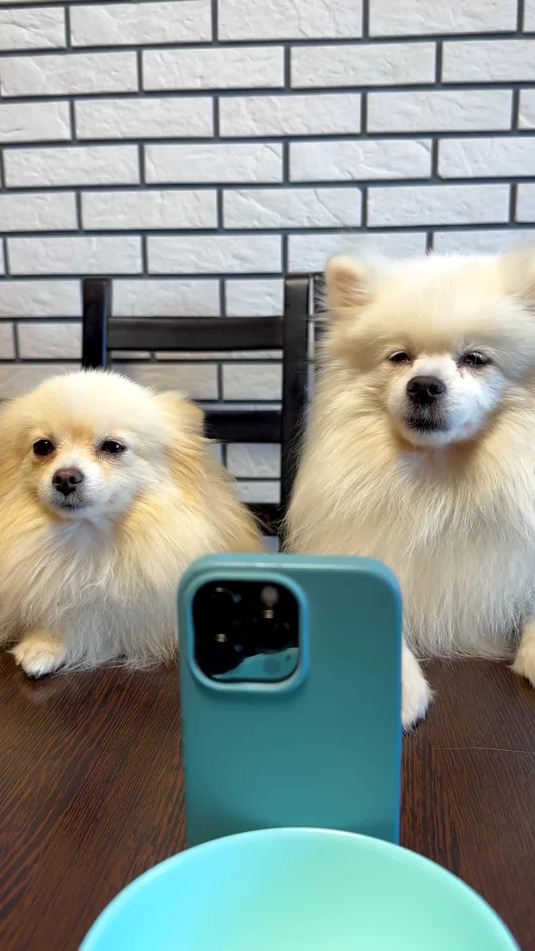 Марк Кинг | ЧТО !? Ничего НЕТ ))))) | Дзен