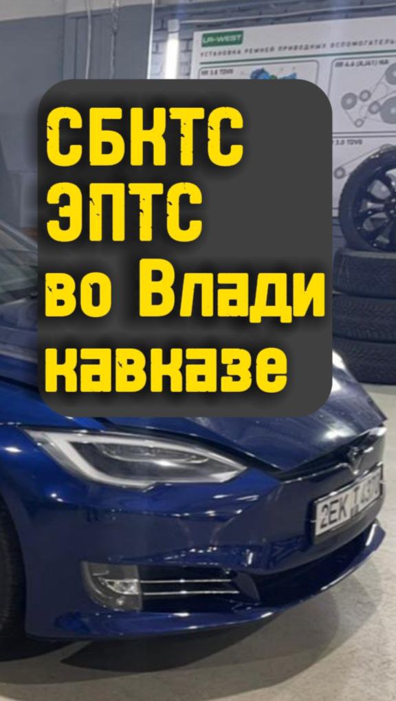 как сохранить файл из ватсап. как сделать картинку в ватсапе. последнее обновление whatsapp. сообщение в ватсапе. ватсап документы и данные.
