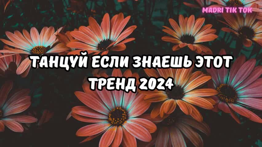 Танцуй тренд 2024 новые