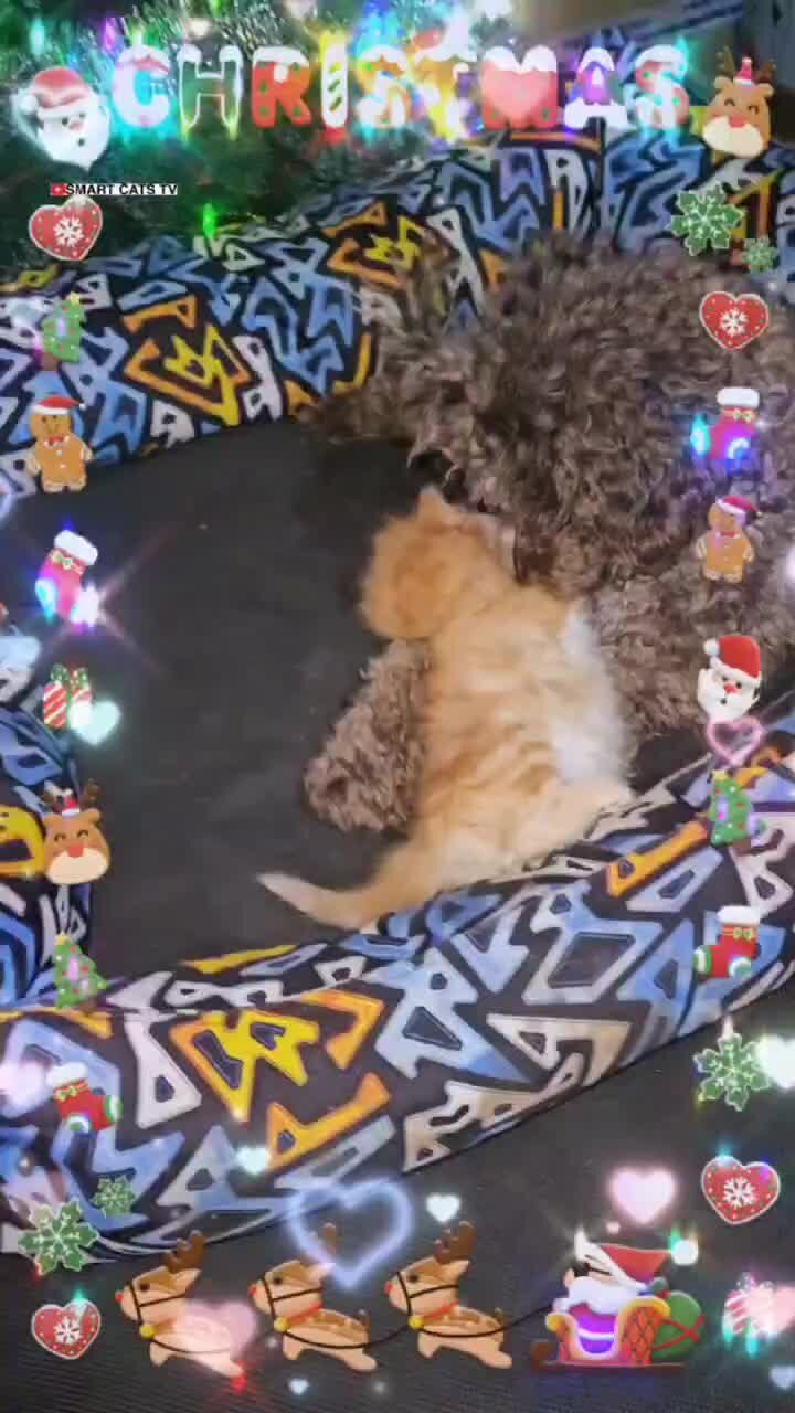 Парень с сердцем. Человек с горящим сердцем. В сердце оставь мне немного места. Сердце разлуки. Человек с разбитым сердцем.