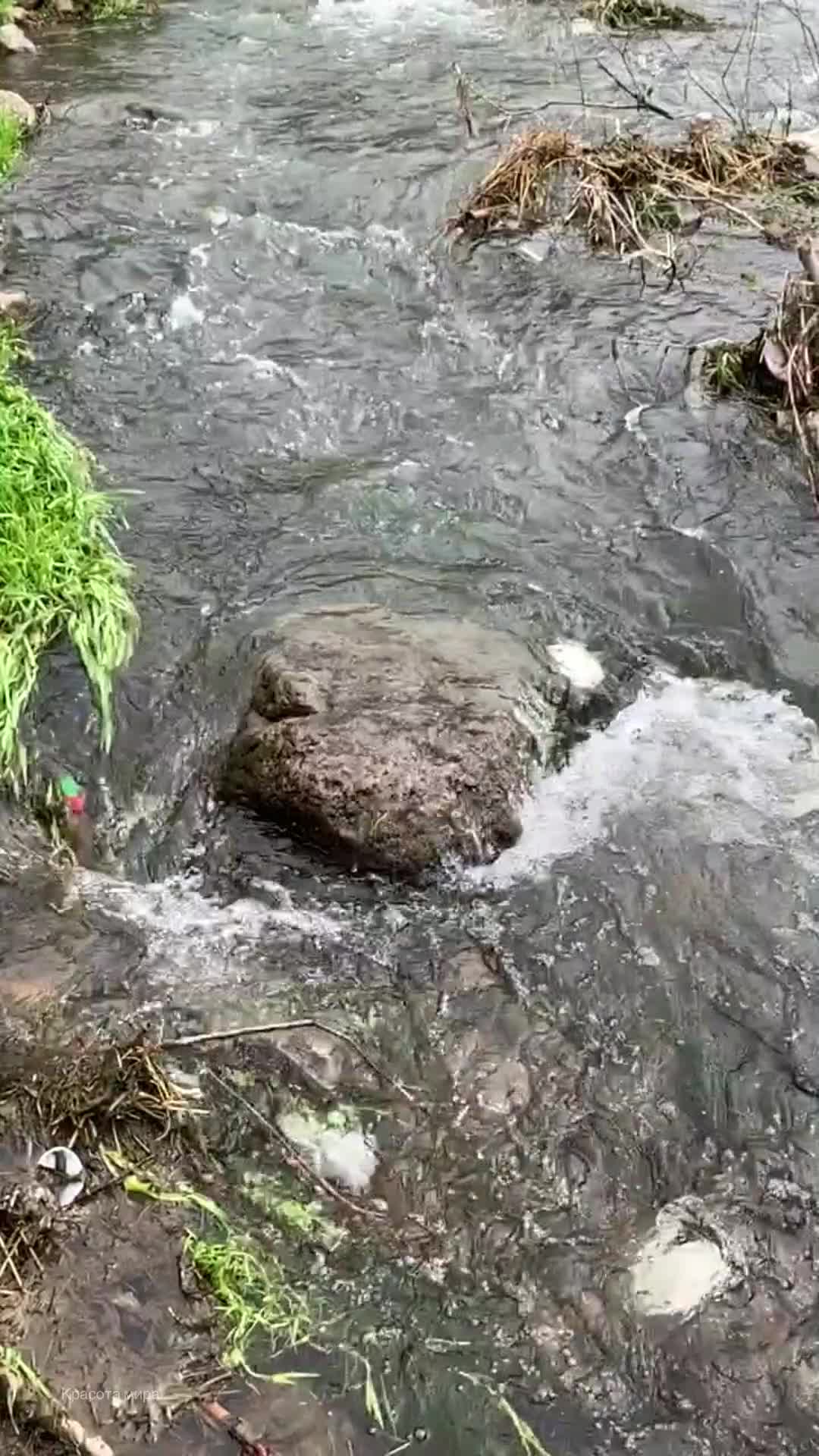 Включи замедленную съемку