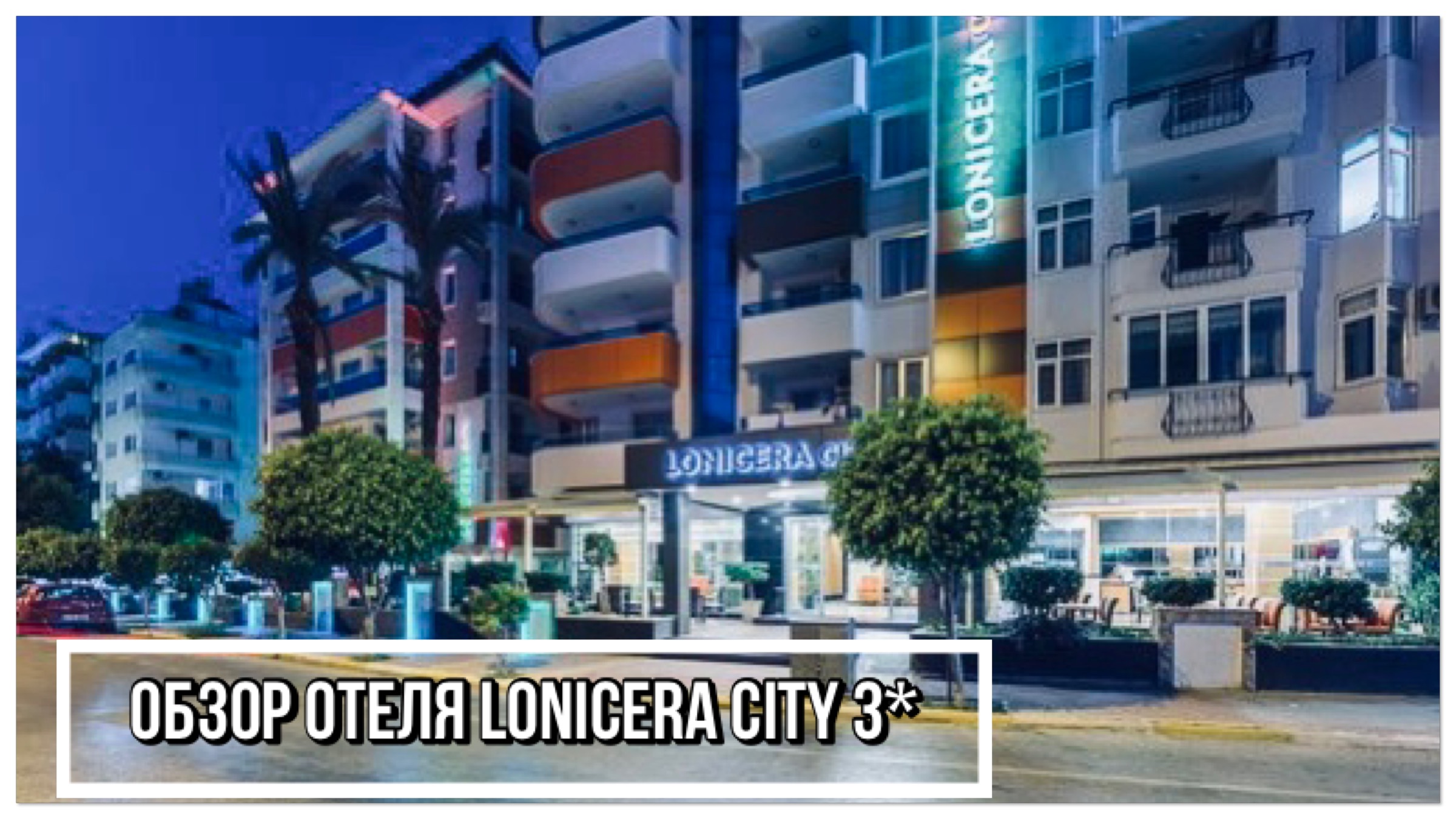 Lonicera city 3 алания