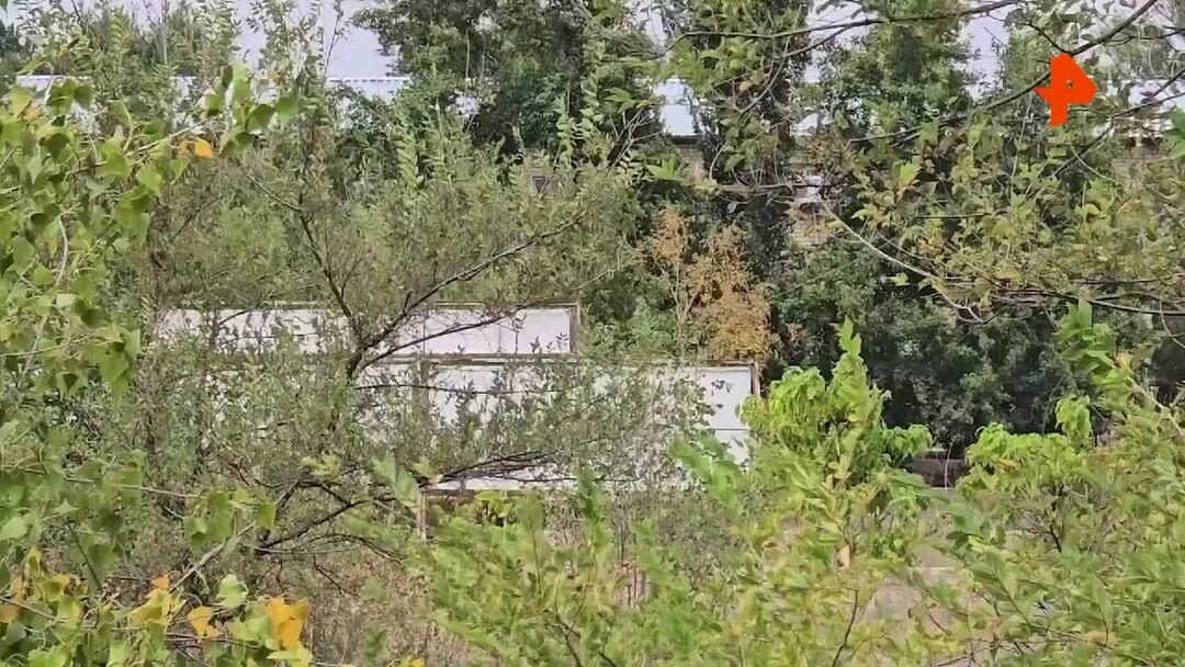 Захват ик 19 телеграм видео Захват ик 19 телеграм видео
