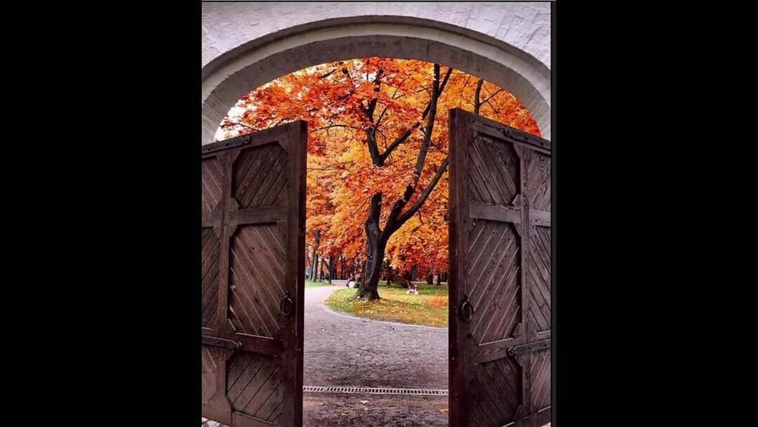 Стих скажите вы когда нибудь. Стих скажите вы когда нибудь. Стихи тонуть в человеке. Когда нибудь стихи. Стихотворения о любви.