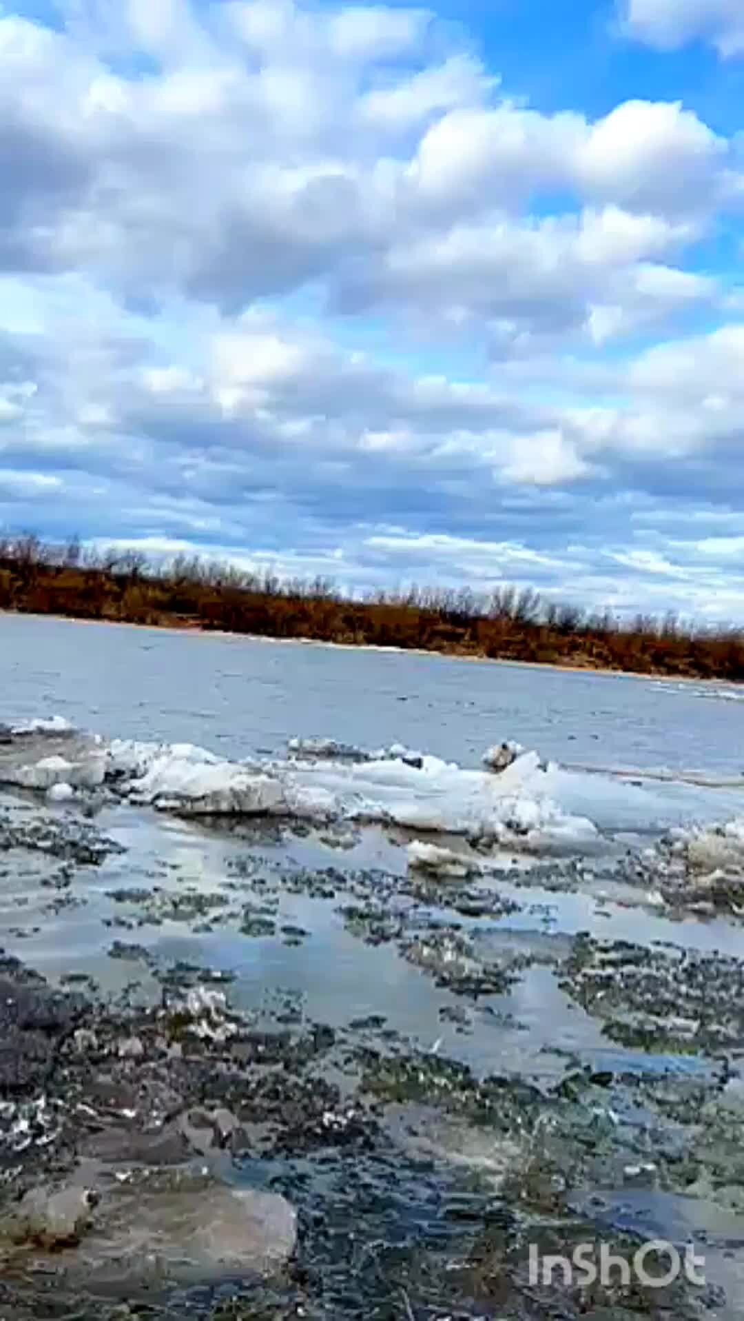 Колхоз ДелоДобровольное | Тура возле деревни, надеюсь сильно не разольётся.  Видео выложили в нашем деревенском чате. Ветер сколько дней уже не стихает.  | Дзен